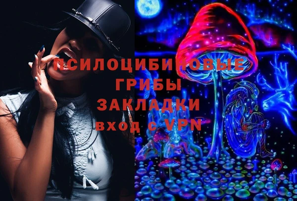 a pvp Володарск